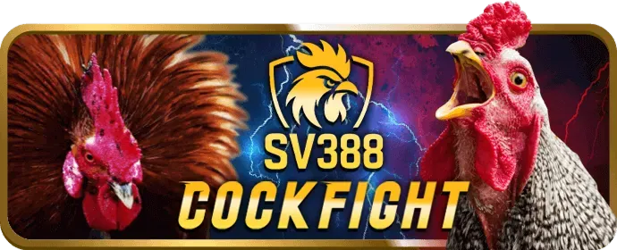 Đội ngũ hỗ trợ chuyên nghiệp 88blc